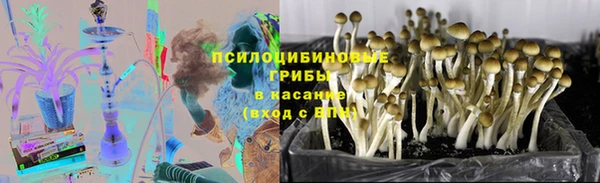 2c-b Ладушкин