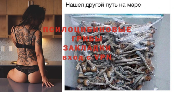 2c-b Ладушкин