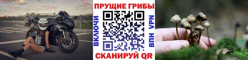 Галлюциногенные грибы мухоморы закладки Мамадыш